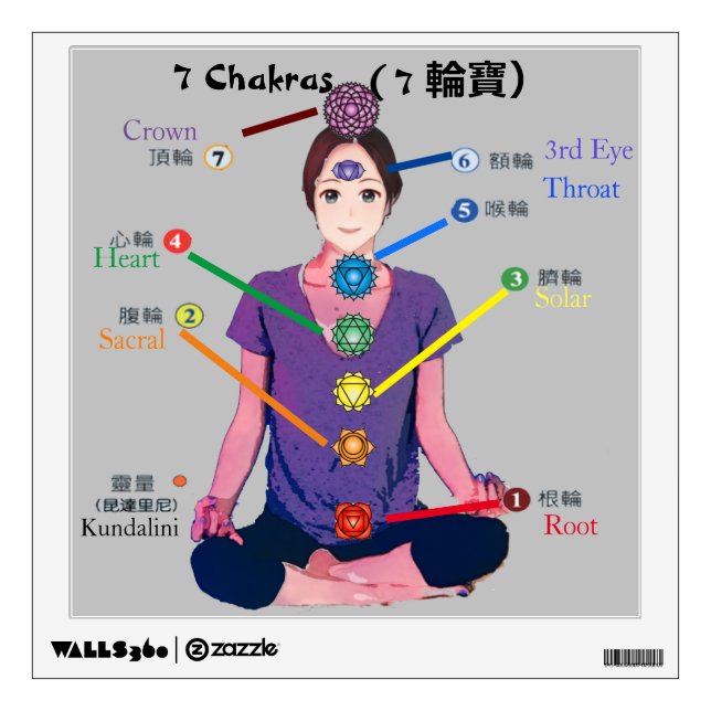 7 Chakra Wall Decal (Front)