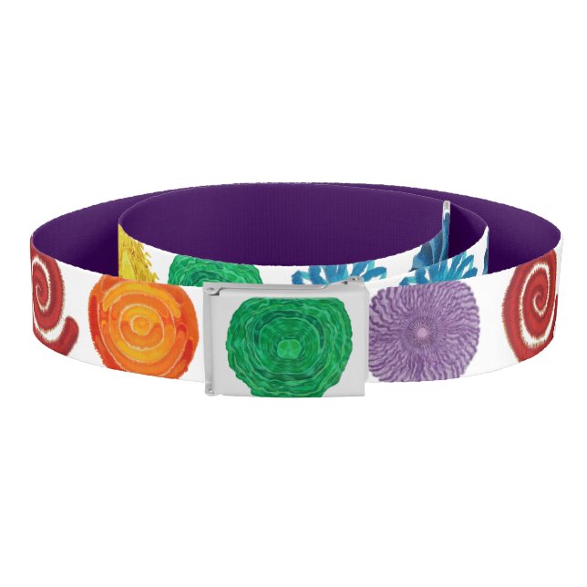 7 chakras #1 clearing artwork belt (Coil)