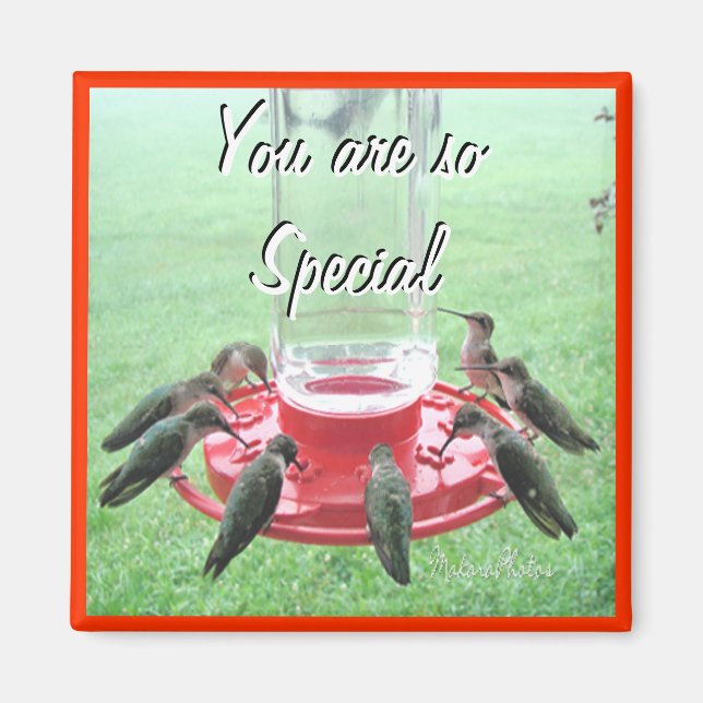 7 Hummingbirds- customize Magnet (Front)