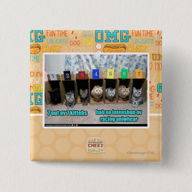 7 out ov 7 kittehs button (Front)