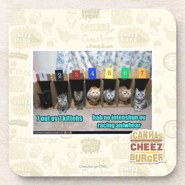 7 out ov 7 kittehs drink coaster (Front)
