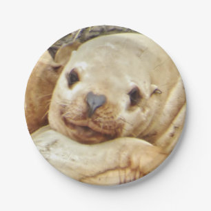 7" Paper Plate w/ seal