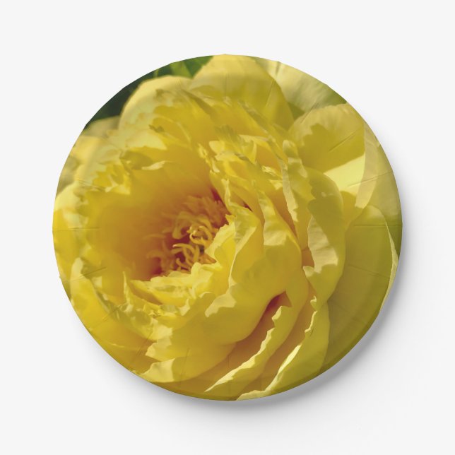 7" paper plates, Double Yellow Peony Paper Plates (Front)
