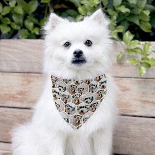 7 Photo Collage - funky hexagon pattern Pet Bandana Collar