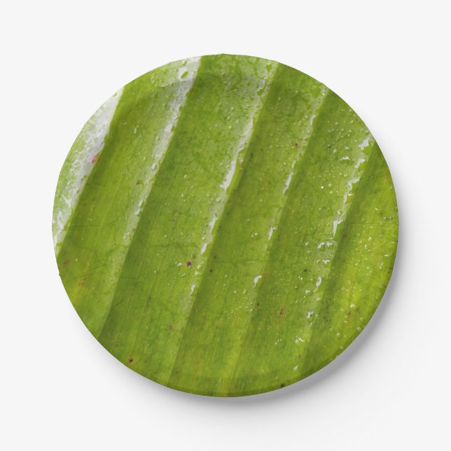 7" Round Paper Plate with Pure Banana Leaf  (Front)