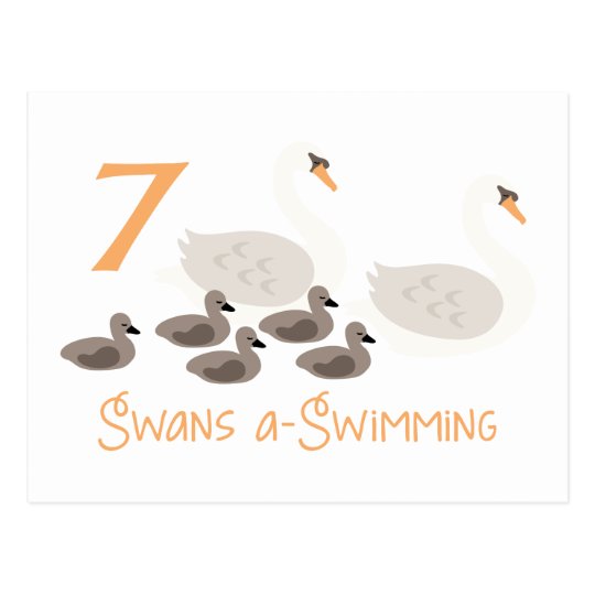 7 Swans a Swimming Postcard | Zazzle.com