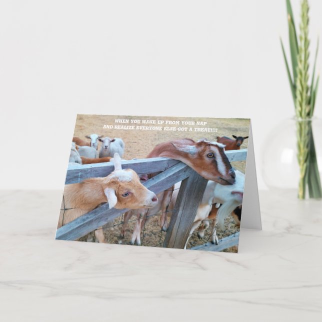 7"x5" Folded Card || Hey-Hay! Where’s Mine? (Front)