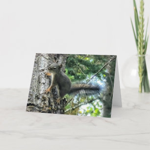 7"x5" Folded Card Tree Squirrel Photo Paint