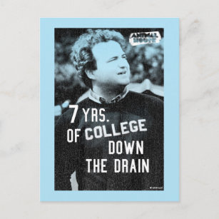 7 Years of College Down The Drain Postcard