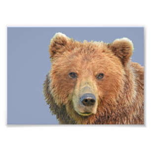 7x5 Kodak Professional Photo Paper (Satin)