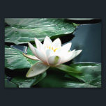 7x5 photo print<br><div class="desc">7x5 photo print</div>