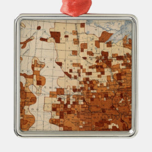 80 Proportion illiterates Negro voters Metal Ornament