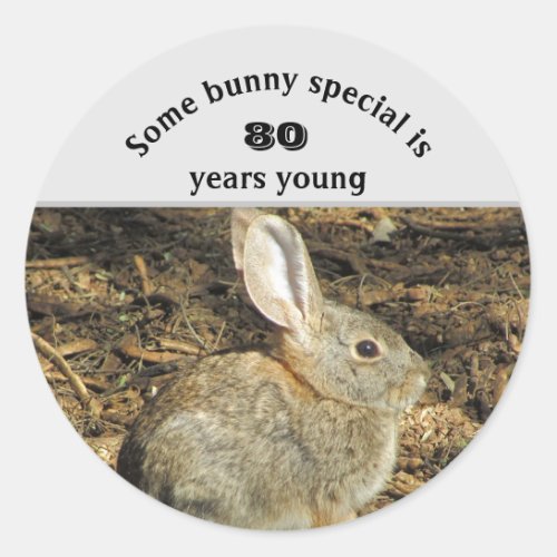 80 Years Young Adorable Rabbit Photo 80th Birthday Classic Round Sticker