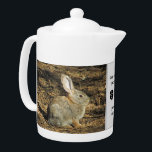 80 Years Young Adorable Rabbit Photo 80th Birthday Teapot<br><div class="desc">This teapot features an adorable, small, brown, bunny sitting in the morning sun feeling the warmth of the rays. This is a unique way to celebrate a birthday milestone of 80, 90, or any age by customizing the age of the lucky birthday boy or girl. "Some bunny special is 80...</div>