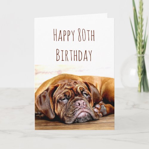 80th Birthday Sad Dog Stay Pawsitive Humor Card