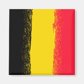 8266Belgium Flag Magnet