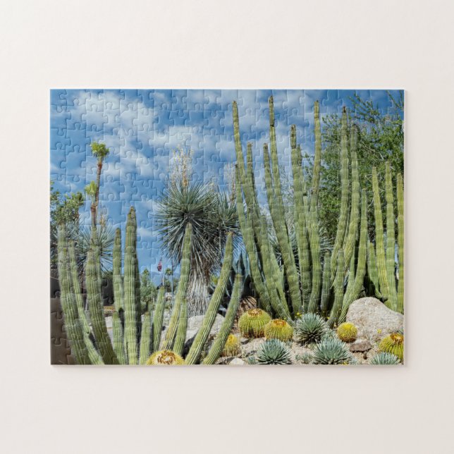 8387-Desert Cactus Garden Jigsaw Puzzle (Horizontal)
