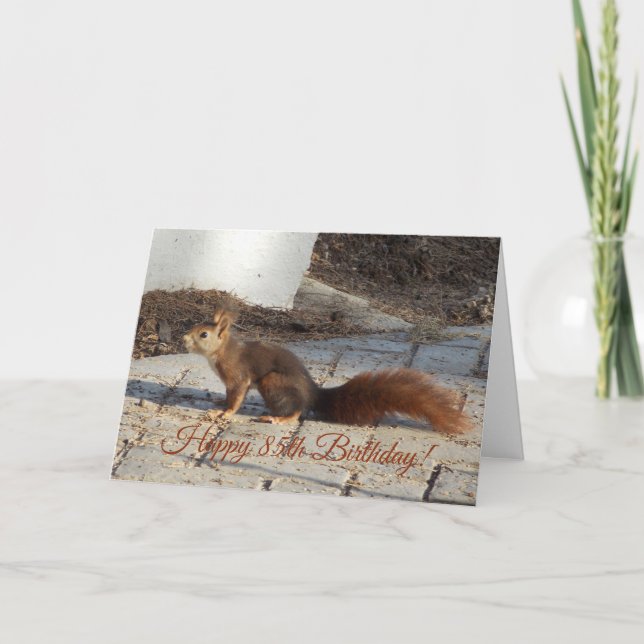 85th Birthday Card Red Squirrel (Front)