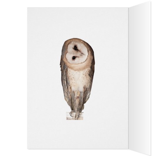 85th birthday, Curious owls card. (Inside (Left))