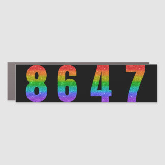 8647 ANTI TRUMP PRO DEMOCRACY CAR MAGNET