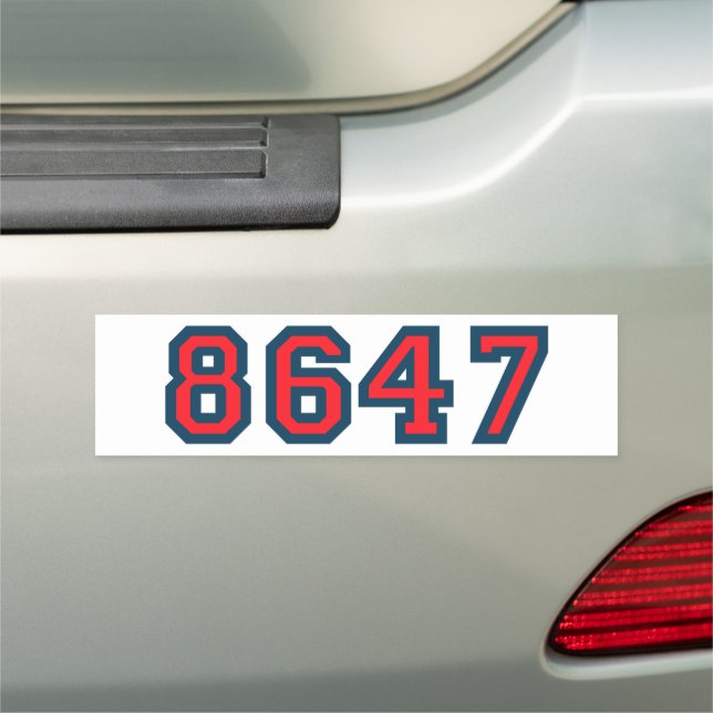 8647 Anti Trump Resistance Bumper Car Magnet (In Situ)
