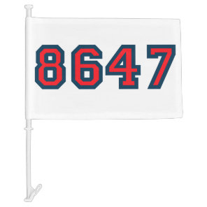8647 Anti Trump Resistance Car Flag