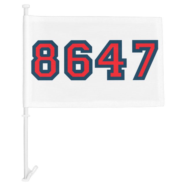 8647 Anti Trump Resistance Car Flag (Front)