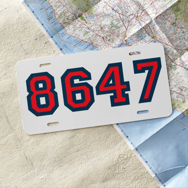 8647 Anti Trump Resistance License Plate (In Situ)