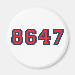 8647 Anti Trump Resistance Magnet