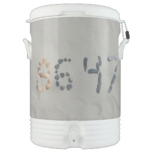 8647 BEVERAGE COOLER