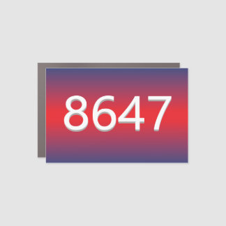 8647 CAR MAGNET