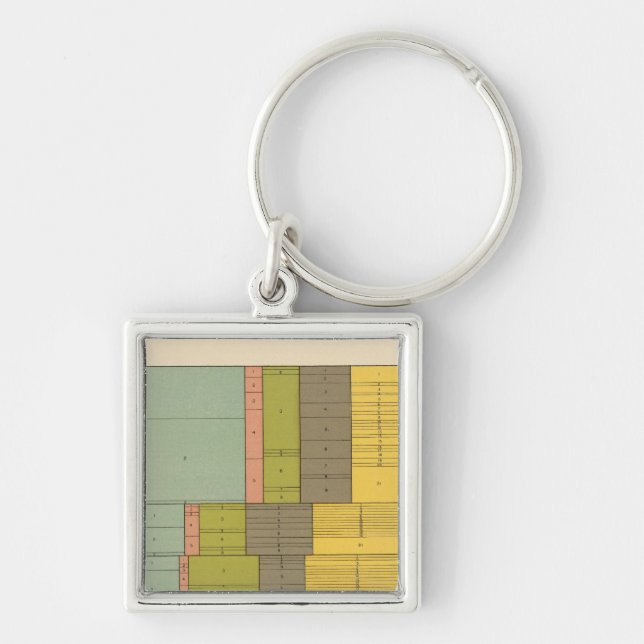 87 Occupations by race, nativity 1900 Keychain (Front)