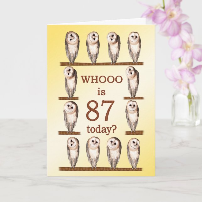 87th Birthday, Curious Owls Card (Orchid)