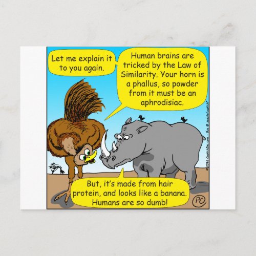 889 Rhino phallus cartoon Postcard