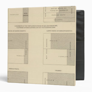 89 Wage earners, classified 1900 Binder