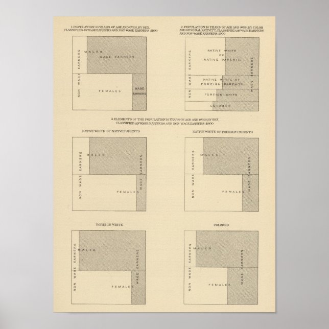 89 Wage earners, classified 1900 Poster (Front)