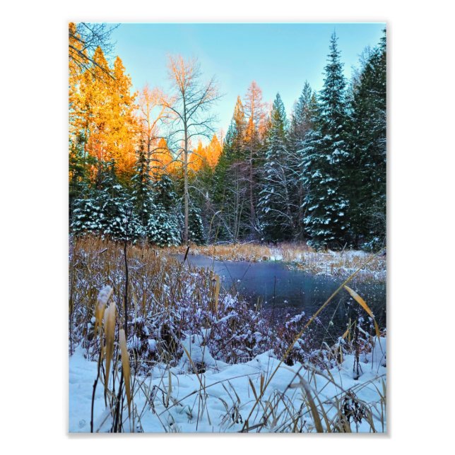 8.5"x11" Photo Print || Last Light (Front)