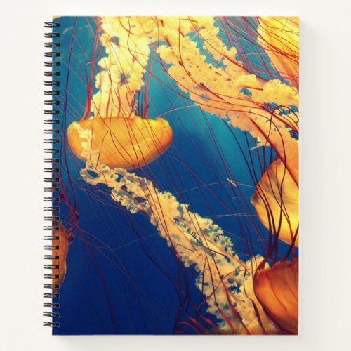 85 x 11 Spiral Notebook
