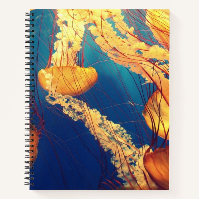 8.5" x 11" Spiral Notebook (Front)