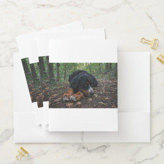 8.5x11 in 1.29 pocket folder