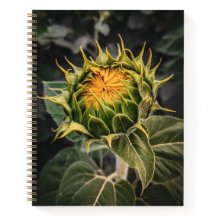8.5x11 Notebook
