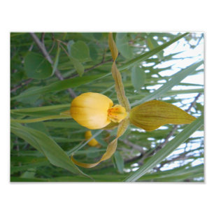 8.5x11 Photo Print