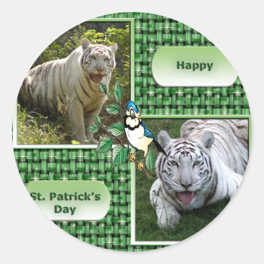 8.5x8.5 Sticker Template