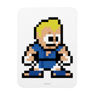 8-Bit Abel Magnet