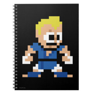 8-Bit Abel Notebook