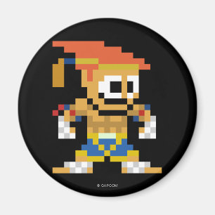 8-Bit Adon Magnet