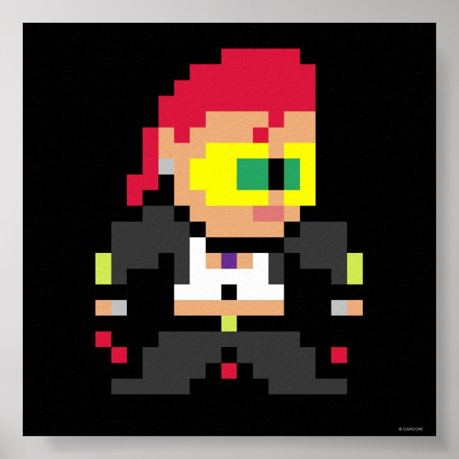 8-Bit C. Viper Poster (Front)