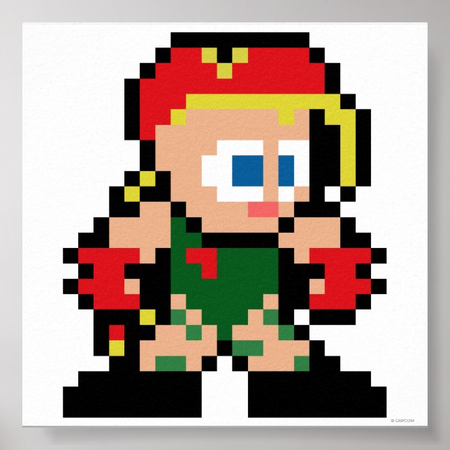 8-Bit Cammy Poster (Front)
