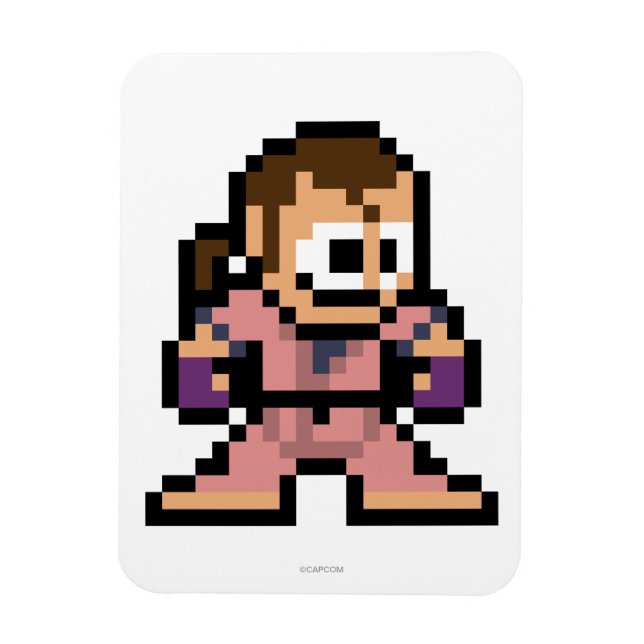 8-Bit Dan Magnet (Vertical)
