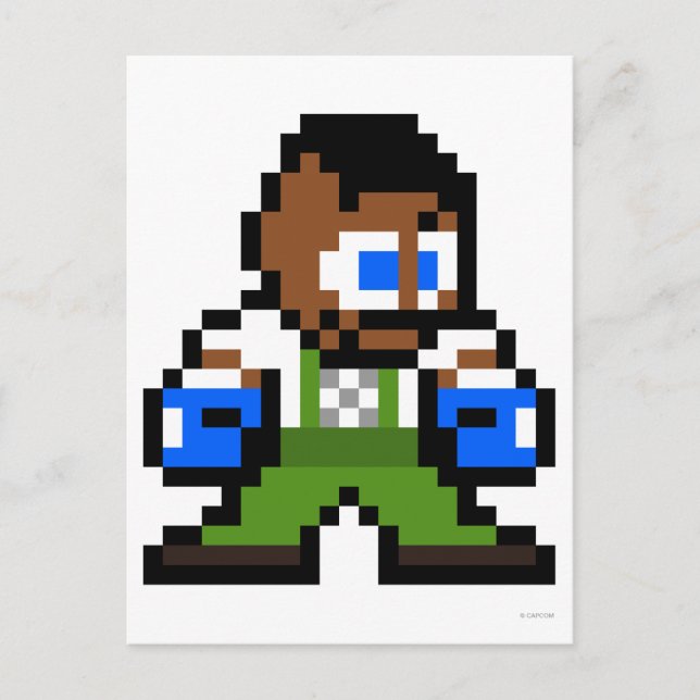 8-Bit Dudley Postcard (Front)